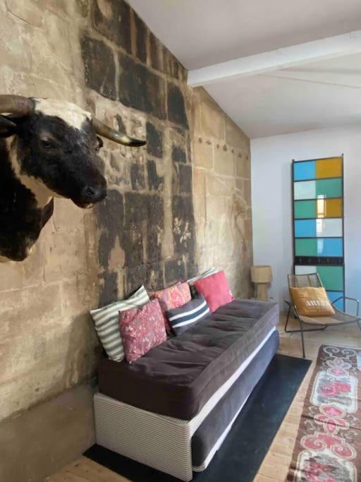 Apartment Loft Sur Les Toits D'arles *